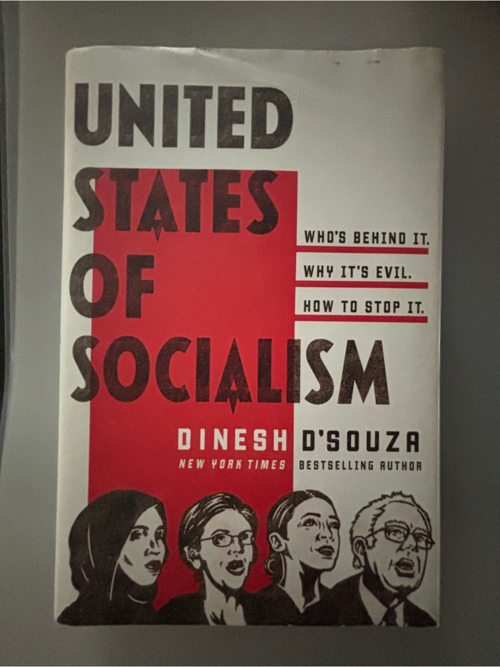 Political theme book